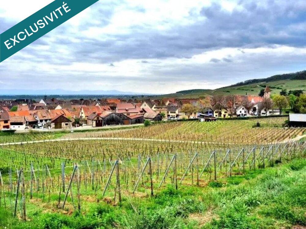 Vente Terrain Très belle parcelle pour un collectif. Ammerschwihr