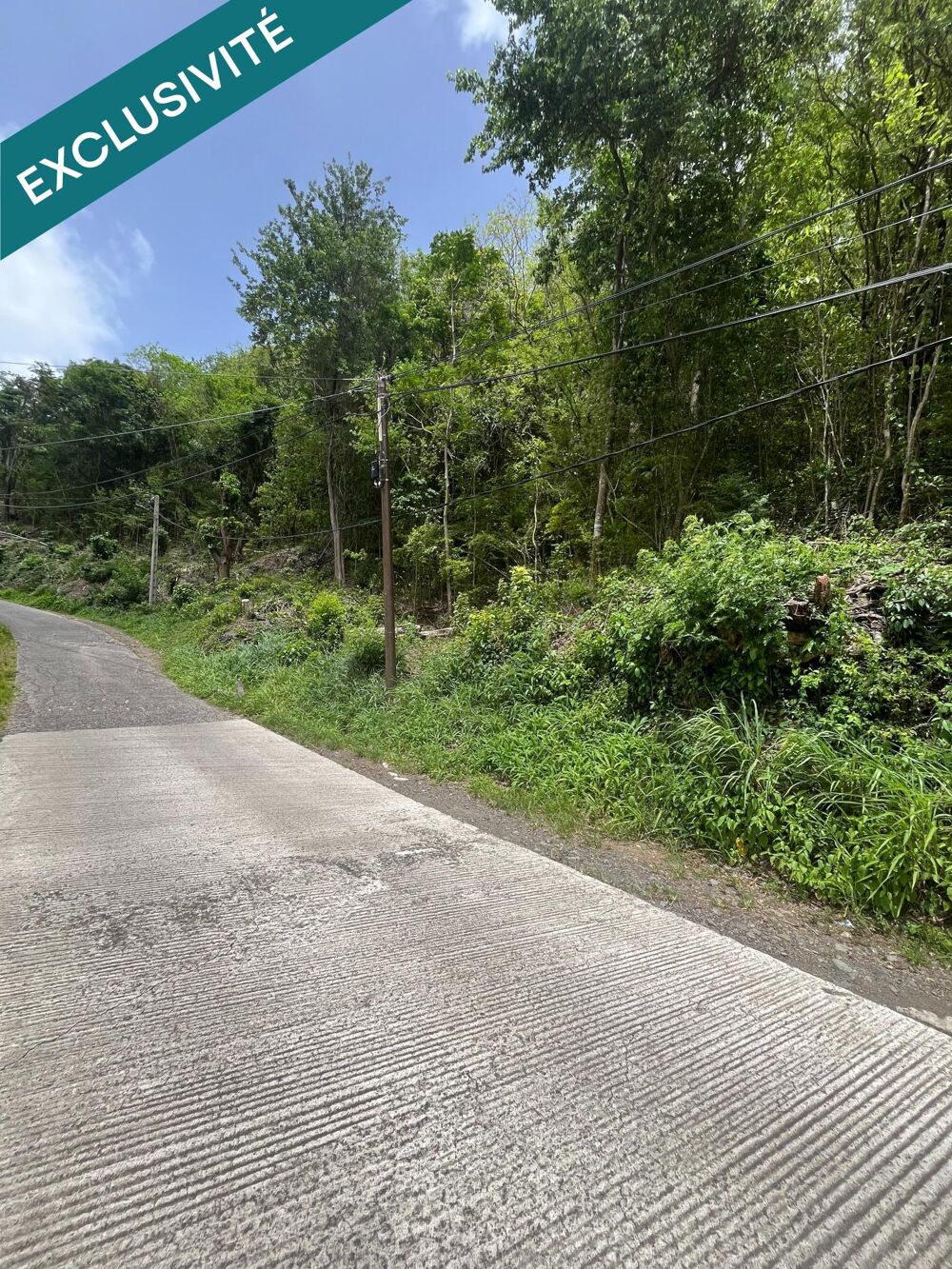 Vente Terrain TERRAIN DE 6000m2 Riviere-pilote