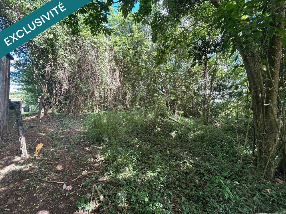 Vente Terrain Parcelle environnement calme Ducos