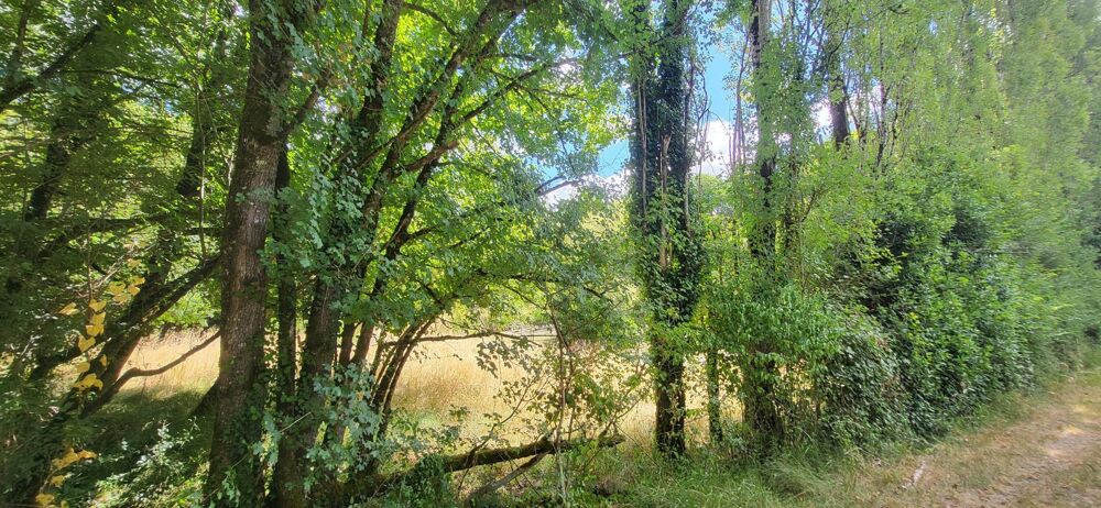 Vente Terrain Beau terrain avec étang dans secteur calme Pleumartin
