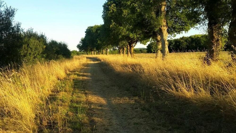 � vendre  Propri�t�/ch�teau Langon (35660)