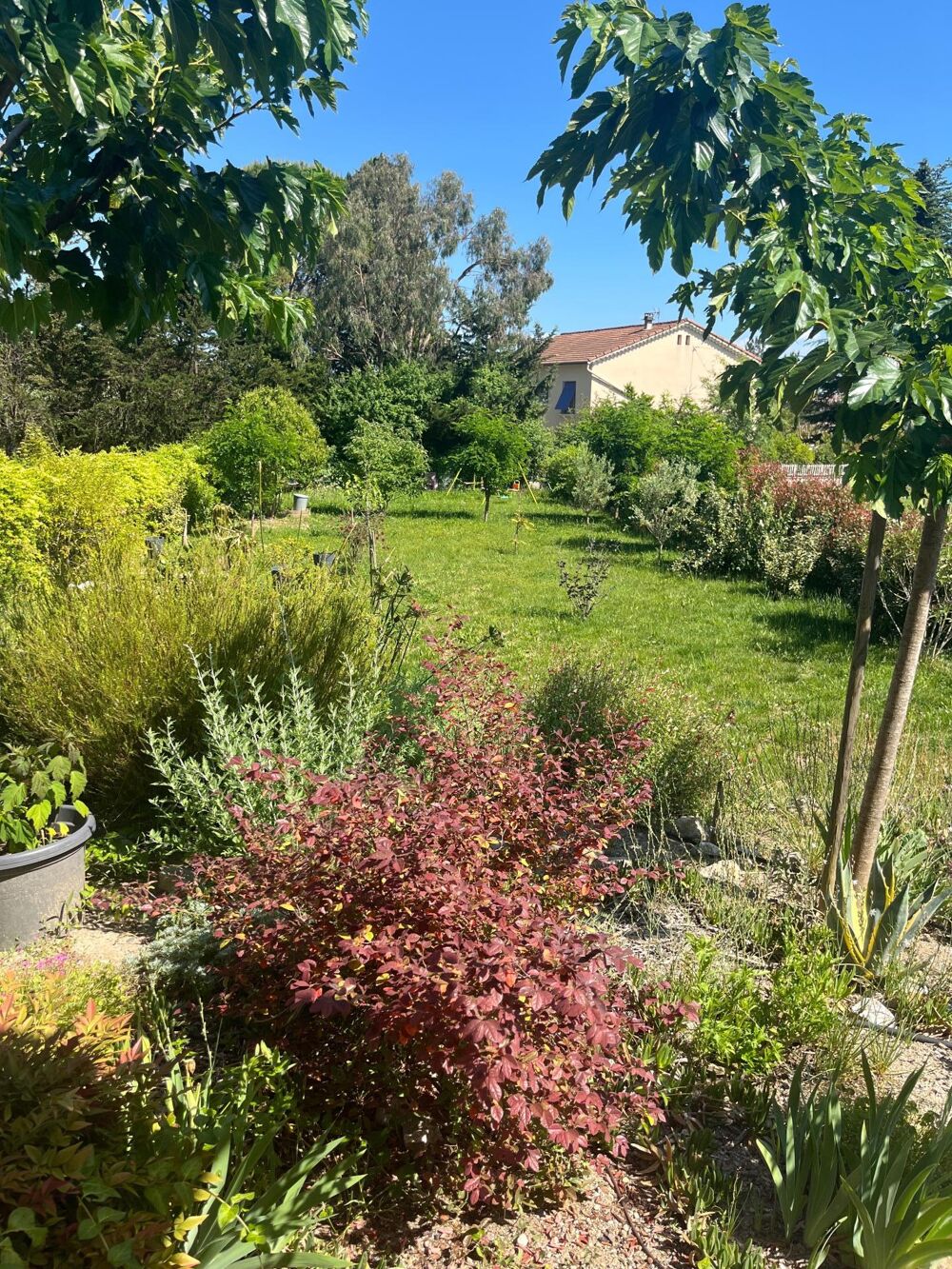 Vente Maison Villa en parfait état Rousson
