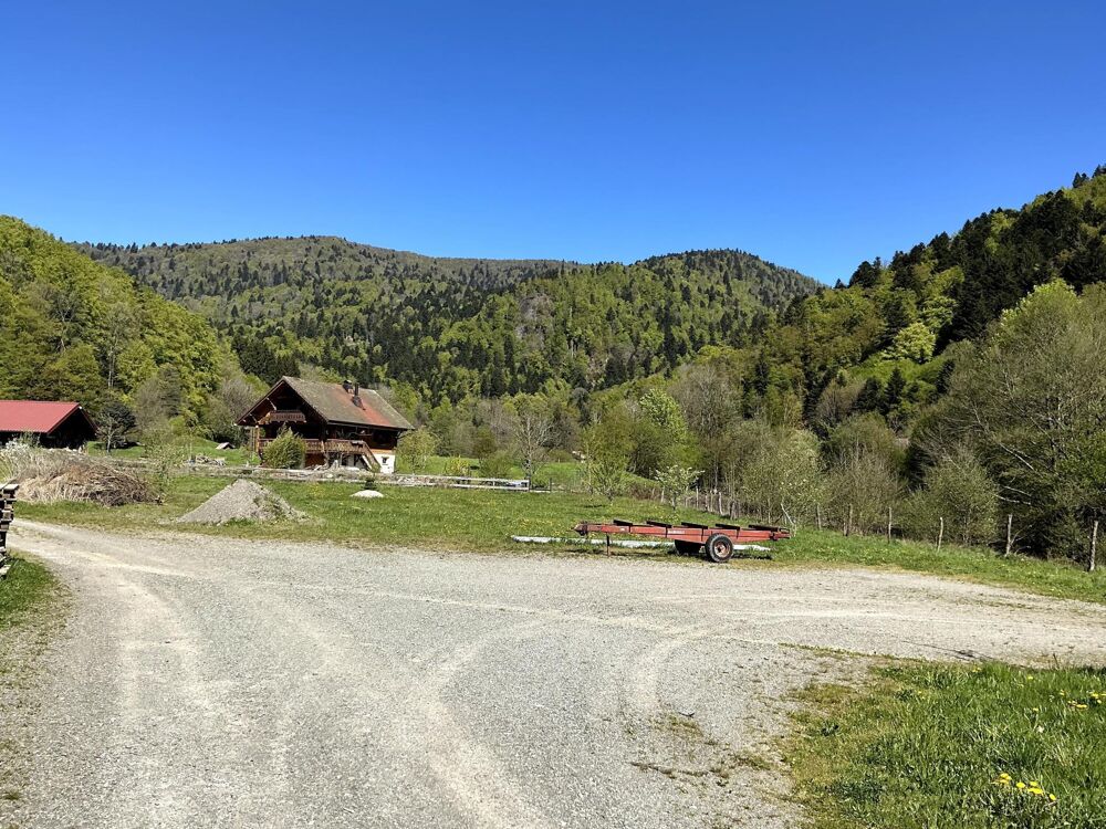 Maison, 167 M2, 5 pièces, 4 chambres, dépendances sur 64458 m2 de terrain