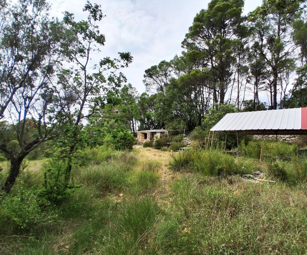 Vente Terrain Ancienne propriété agricole de 6Ha en AOP Entrecasteaux