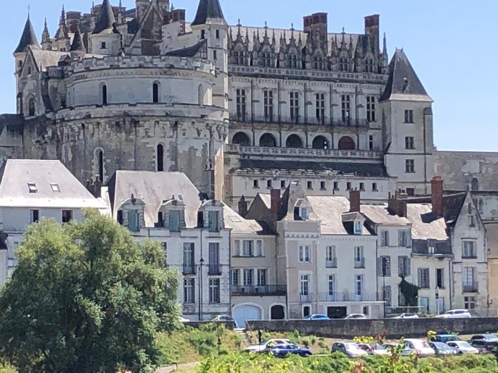 Vente Maison Centre ville Maison atypique avec vue sur la Loire et le Château Amboise
