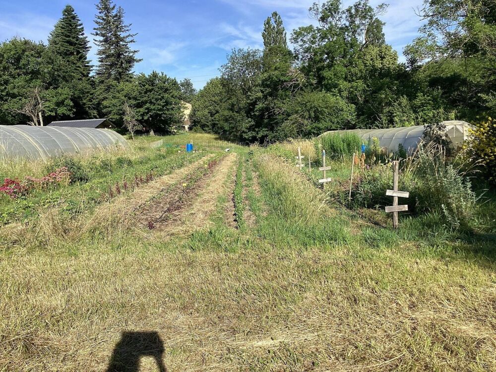Authentique ferme bio avec eau de source sur 1,3 hectare