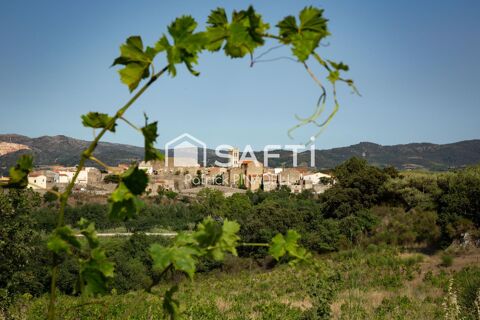 Domaine viticole avec cave, vignes et mat&eacute;riel d'exploitation 285000 66720 Latour-de-france