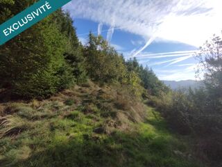  Terrain � vendre 8045 m�