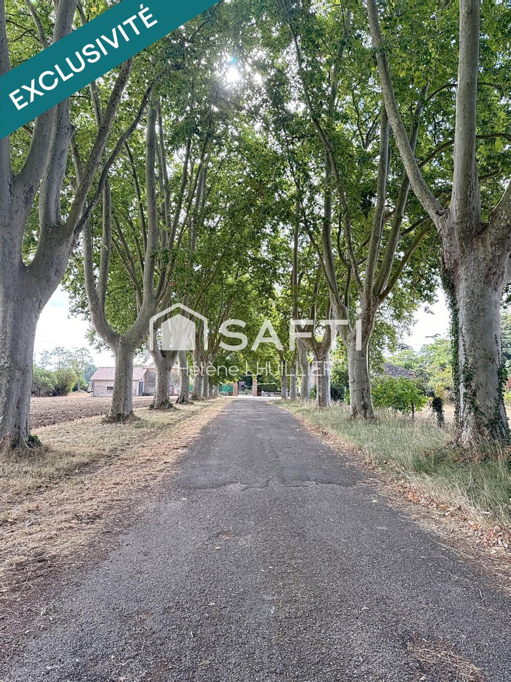 Vernet - Maison de Maitre - 464m² + dépendance, parc classé