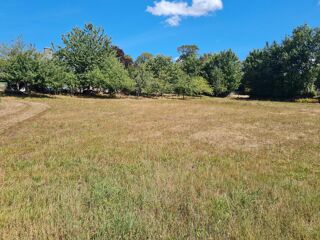  Terrain à vendre 966 m²