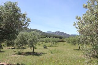  Maison � vendre 6 pi�ces 227 m�