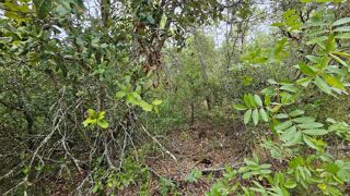  Terrain � vendre 11136 m� Sillans-la-cascade