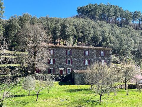   Mas Cevenol Maison - 15 + pièce(s) - 321 m²