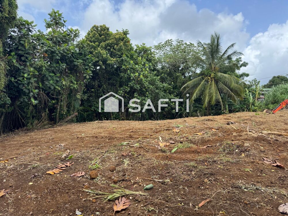 Vente Terrain Terrain plat, viabilisable – 1 346 m² – Gros-Morne – À saisir ! Gros-morne