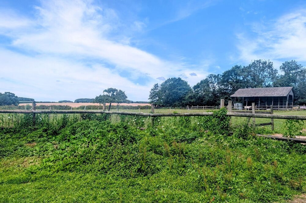 Vente Maison Magnifique maison de Maître Saint-vaast-dieppedalle