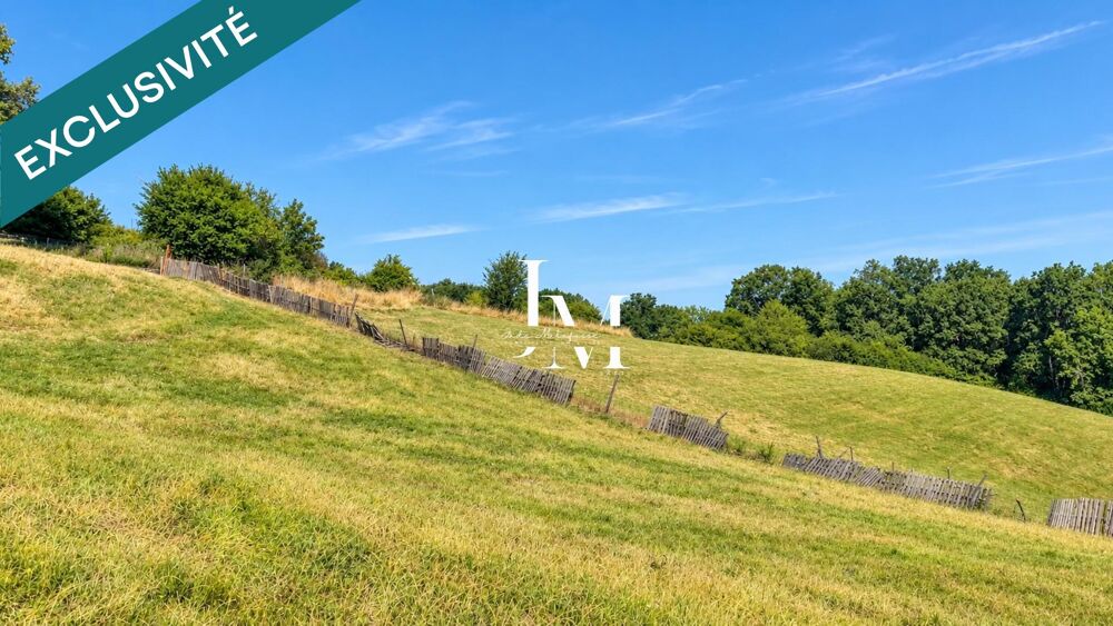 Vente Maison Un projet de rénovation au coeur de la nature Villemur-sur-tarn