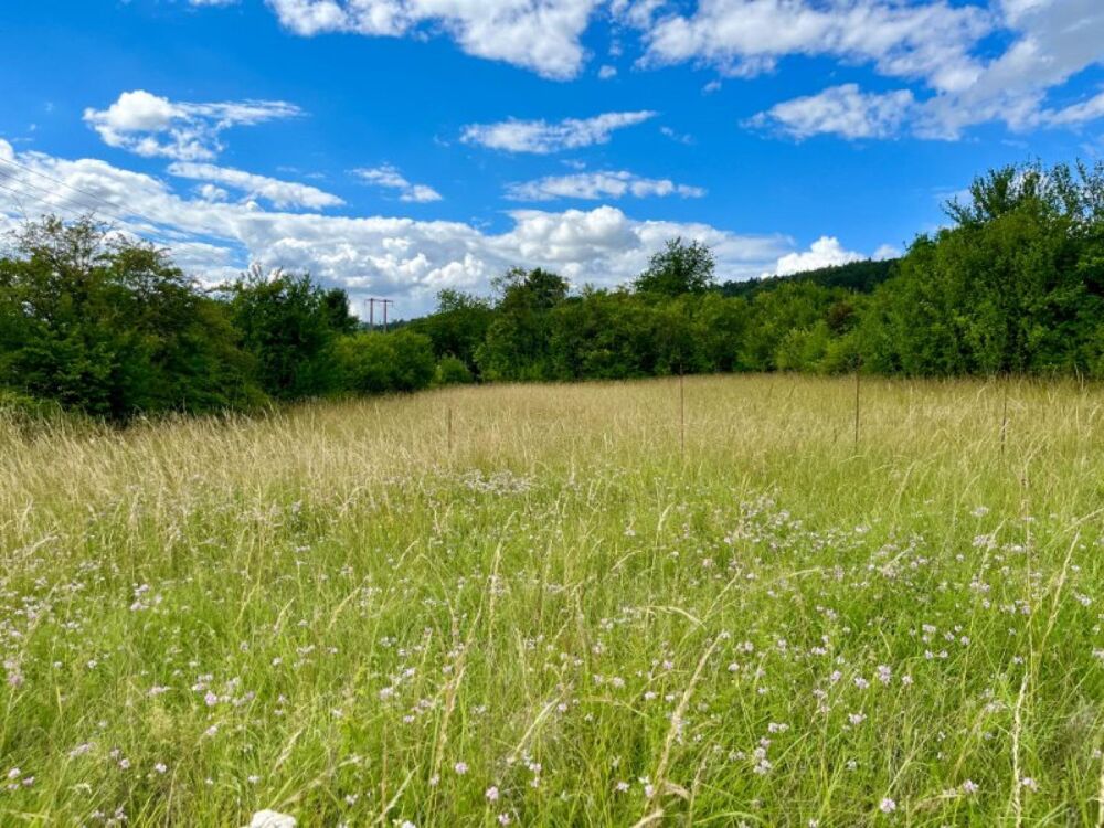 Vente Terrain TERRAIN A BATIR HORS LOTISSEMENT Verdun