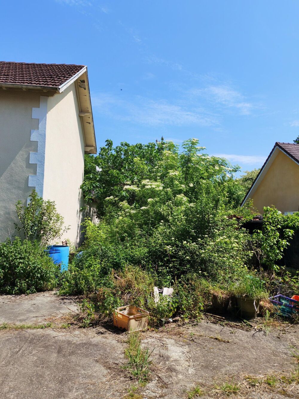 Vente Maison MAISON, GRANGE, RENOVATION, INVESTISSEMENT Mont