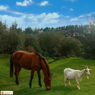  Maison � vendre 4 pi�ces 120 m�