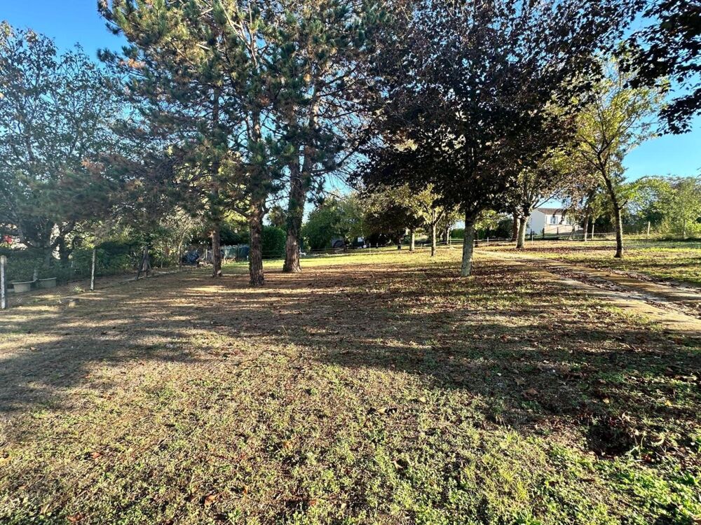 Vente Terrain Terrain constructible Saint-sauvant
