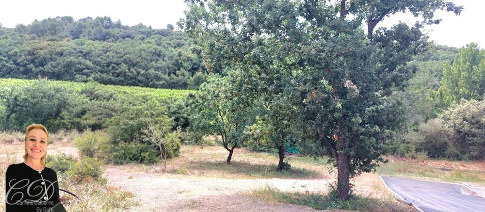 Vente Terrain vue vignes Pezenas