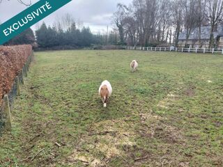  Terrain � vendre 1336 m�