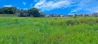  Terrain � vendre 1353 m�