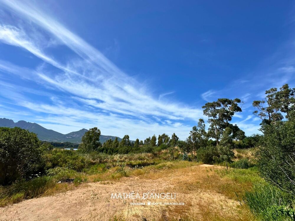 Vente Terrain Rare en Balagne 2 620 m2 constructibles Moncale