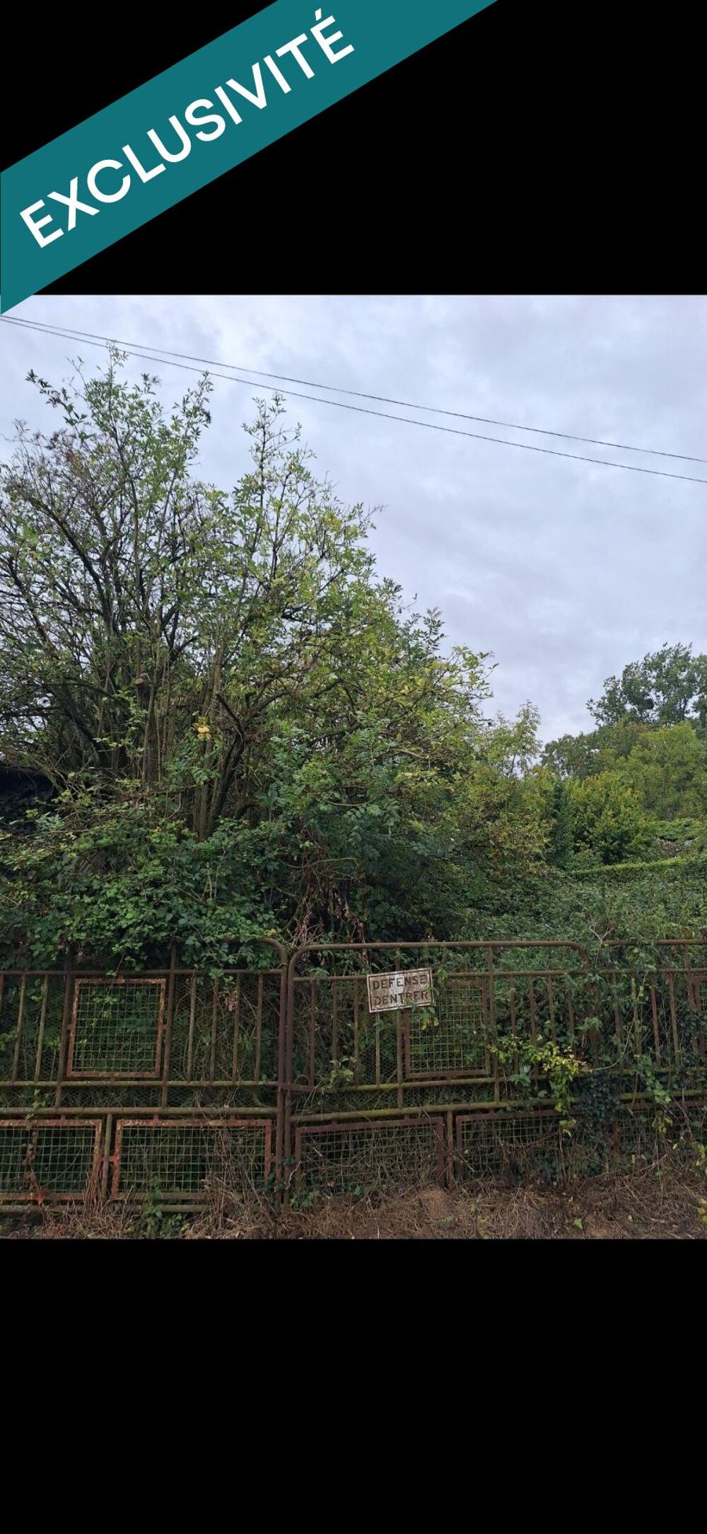 Vente Terrain Terrain constructible, b�timents et d�pendances. Embry
