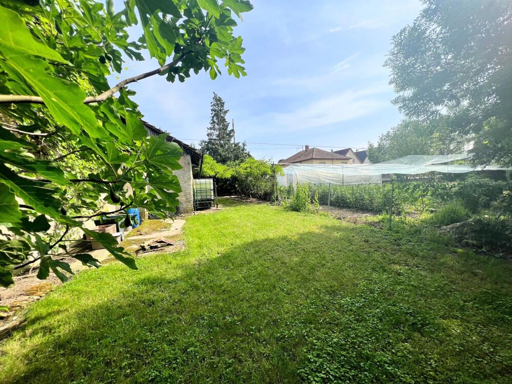 Vente Maison Maison traditionnelle de 204 m2 de surface avec une Grande de 300m2 et un local indépendant sur 12 ares de terrain Landser