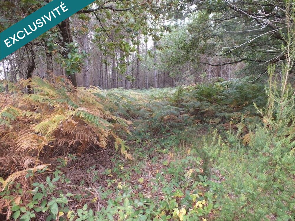 Vente Terrain VENDAYS-MONTALIVET: Votre havre de paix arboré - 800m2 près de l'océan Vendays-montalivet