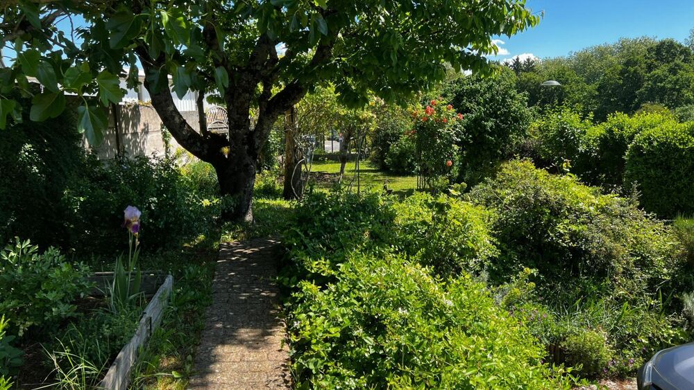 Vente Maison Ch�cy Centre et Canal/Loire, emplacement privil�gi� : nature et pratique pour cette maison 5 chambres, possible 6, sur sous-sol Ch�cy