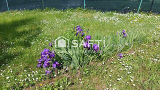  Terrain  vendre 520 m