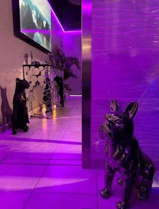  Appartement � vendre 2 pi�ces 56 m�