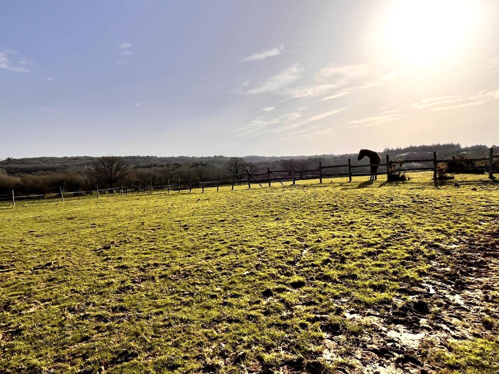 � vendre  Maison Bovel (35330)