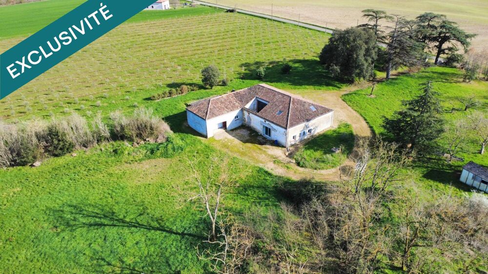 Propriété en pierre  360 m²  1,5 hectare  Oliviers  Projet dexception à finaliser