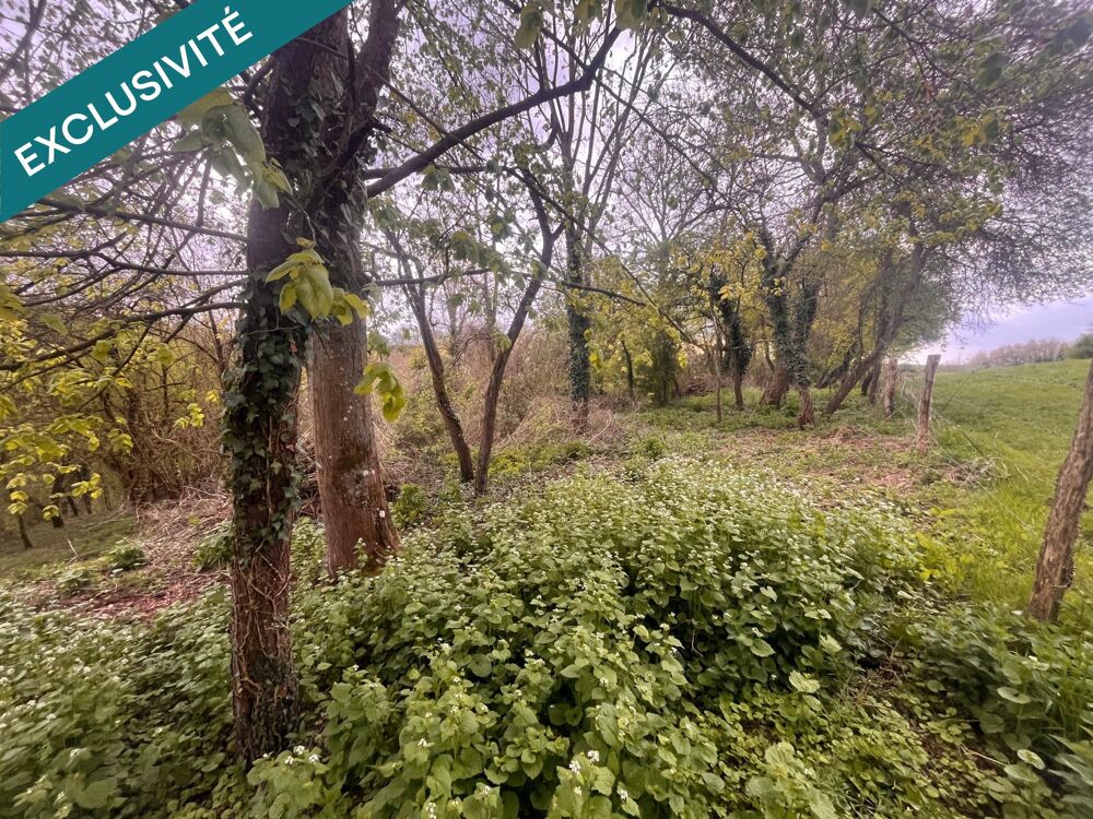 Vente Terrain LOISIRS Arcy-sainte-restitue