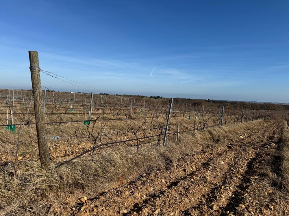 � vendre  Propri�t�/ch�teau Cabestany (66330)