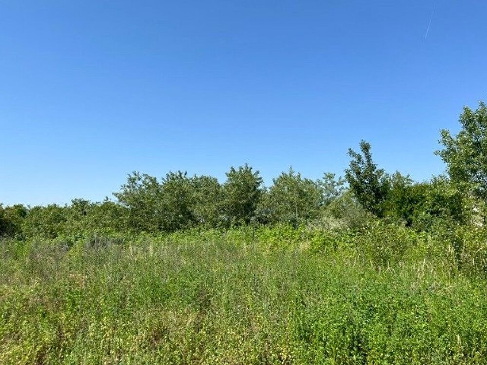 Vente Terrain WITTELSHEIM – NOUVEAU LOTISSEMENT – TERRAIN À BÂTIR DE 423 M² Wittelsheim