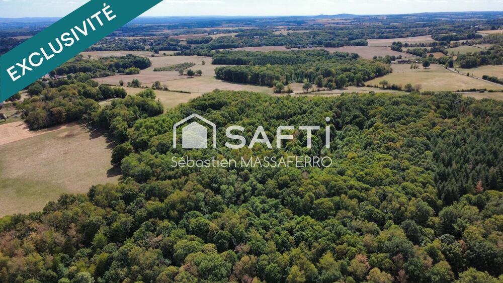 Vente Terrain Lot de 3 parcelles forestières Savigny-en-sancerre