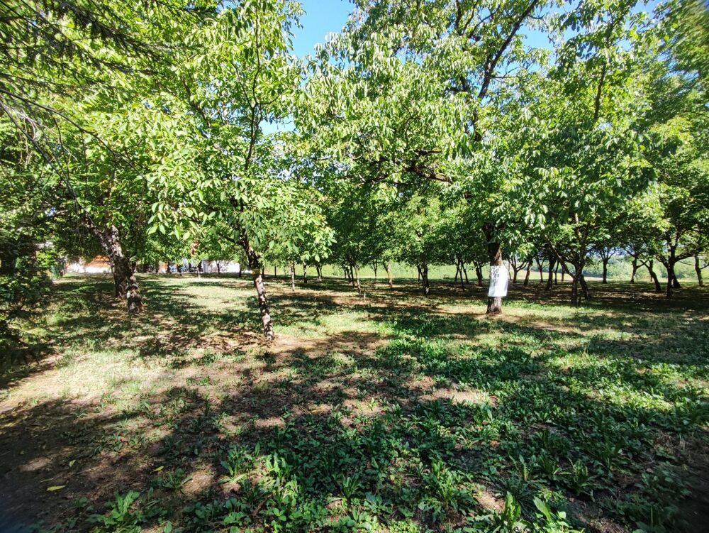 Vente Terrain Terrain à bâtir de 990m² non viabilisé. La riviere