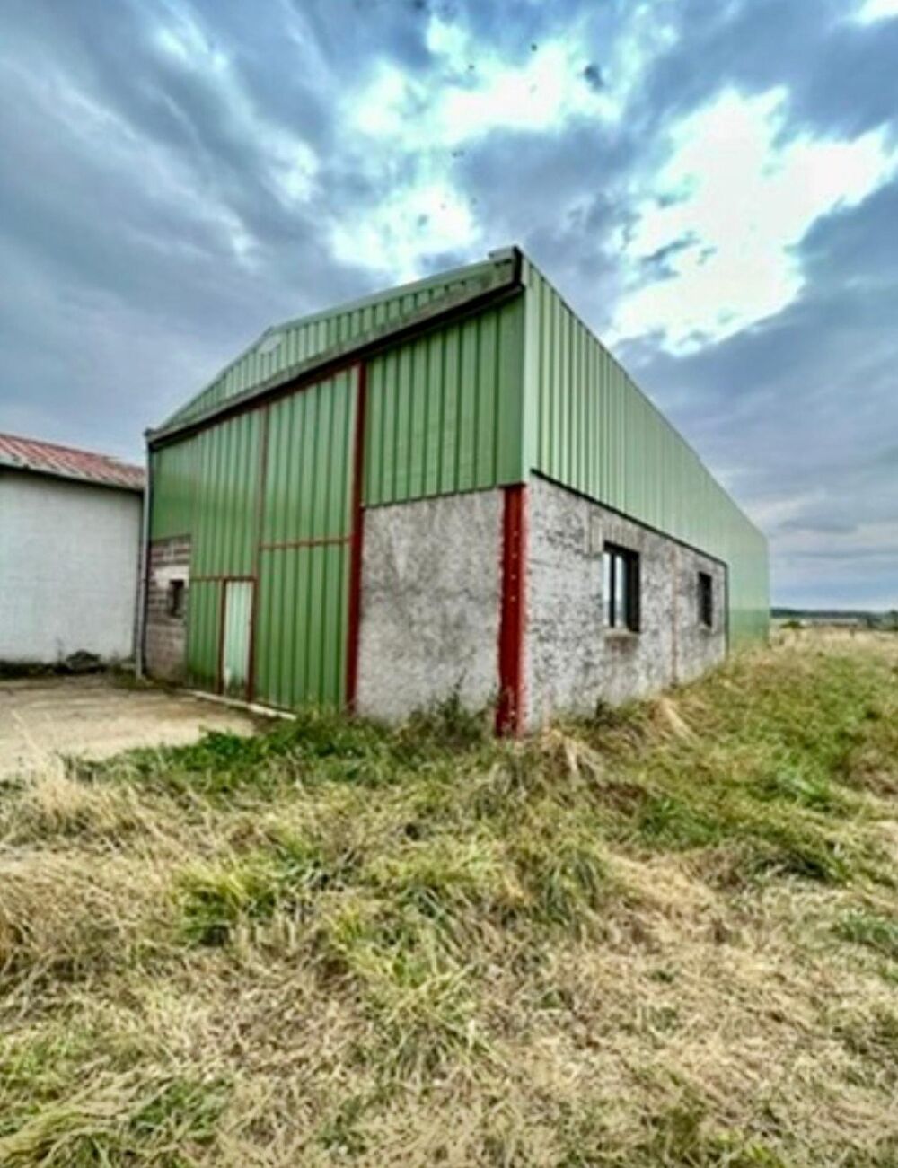 Vente Immeuble Hangar de 239 m² sur 28 ares à Mangiennes Longuyon