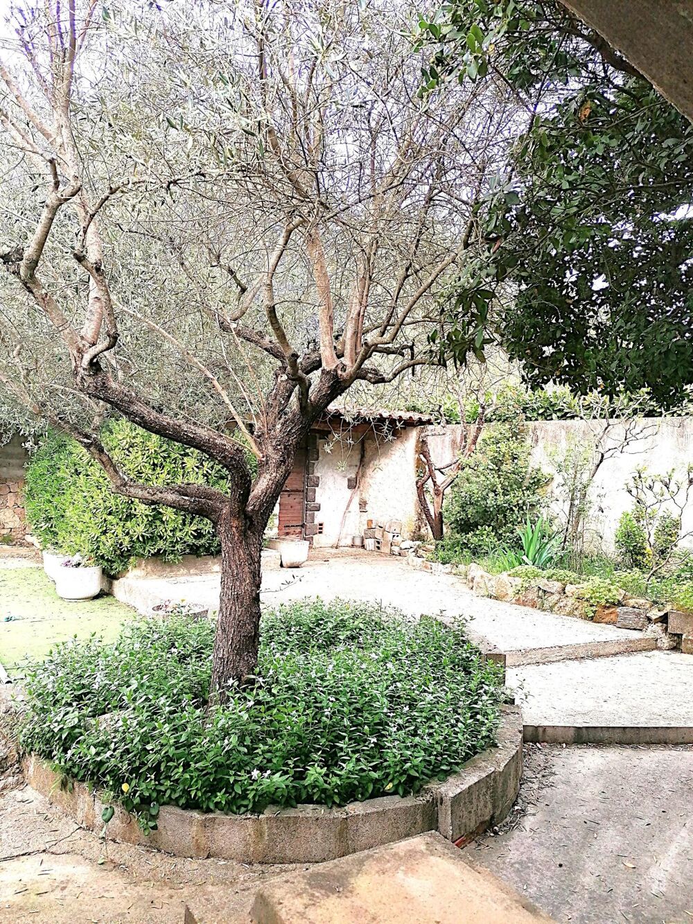 Vente Maison villa champêtre avec piscine au calme Camps-la-source