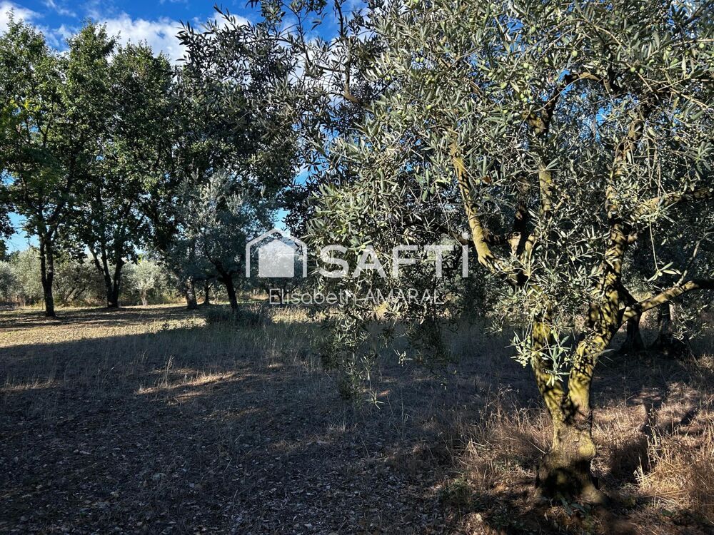 Vente Terrain À Oraison, laissez-vous séduire par cette oliveraie et sa magnifique vue sur la vallée de la Durance Oraison