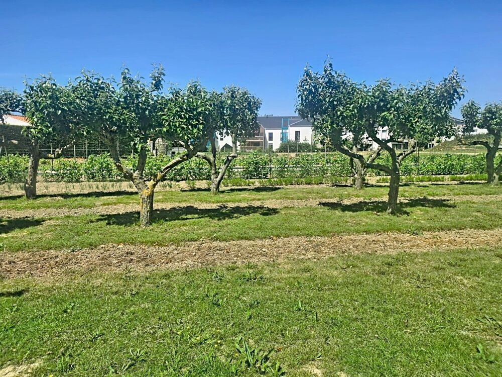 Vente Terrain RARE Très beau terrain à bâtir Sables d olonne