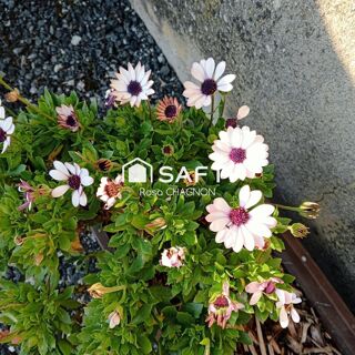  Maison � vendre 7 pi�ces 180 m�