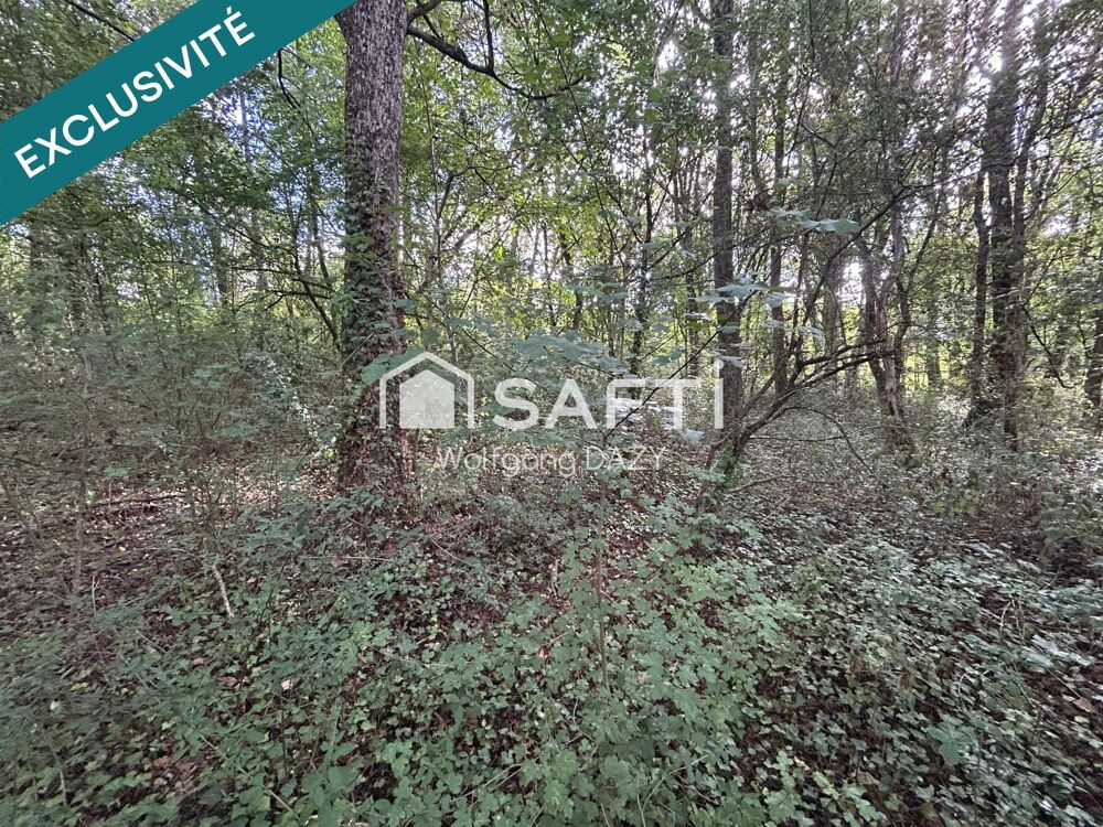 Vente Terrain Terrain de loisir arboré à proximité de la Vienne Vouneuil-sur-vienne