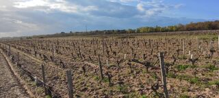  Terrain à vendre 65000 m²
