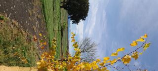  Maison � vendre 4 pi�ces 130 m�