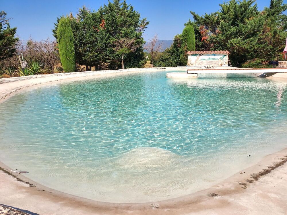 Superbe propriété de 182 m² avec piscine lagon et dépendance